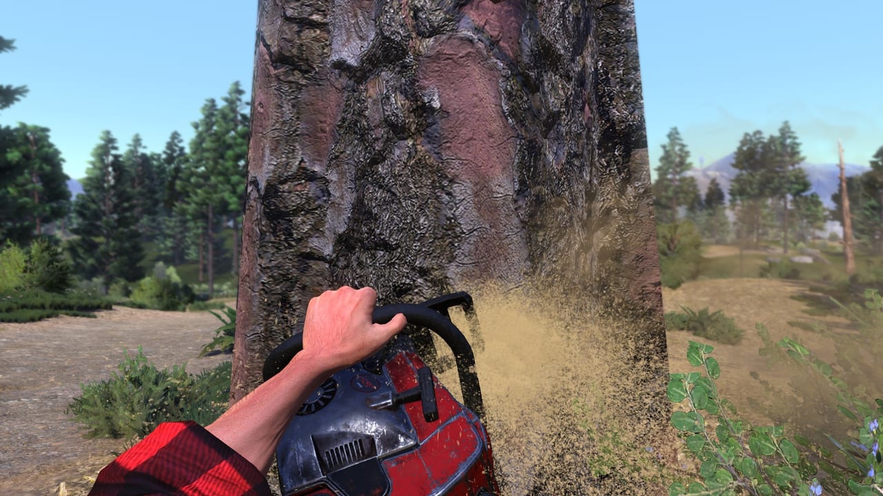 Ego-Perspektive: Kettensäge schneidet einen Kiefernstamm in Lumberjack's Dynasty